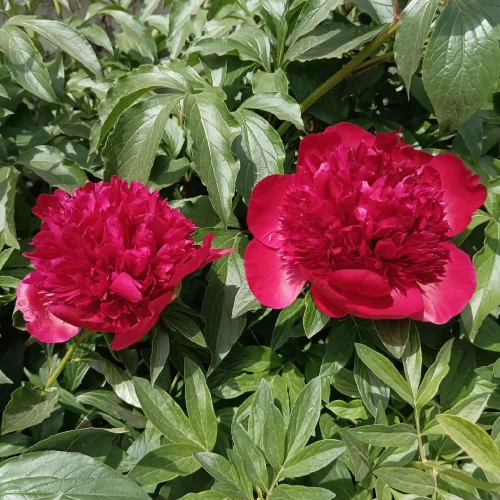 d74ce139-0c85-4367-be5c-f95f338cd69b d74ce139-0c85-4367-be5c-f95f338cd69b