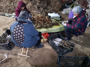 product-300-224 product-300-224