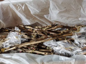 product-300-224 product-300-224