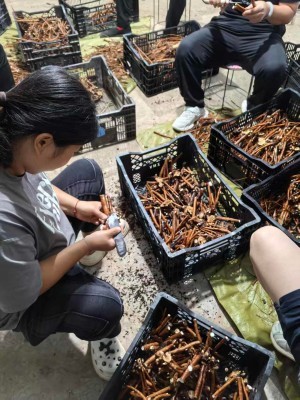 product-300-400 product-300-400