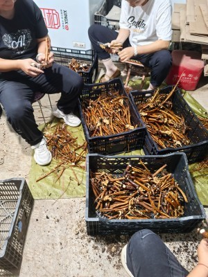 product-300-400 product-300-400